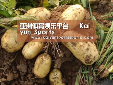 种植基地六