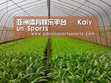 种植基地四