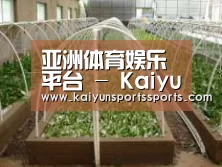 环境展示五