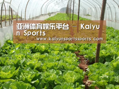 种植基地五