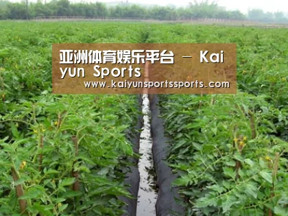 种植基地三