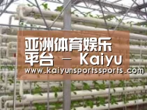 环境展示六