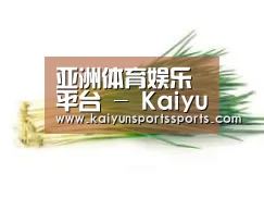 产品名称二
