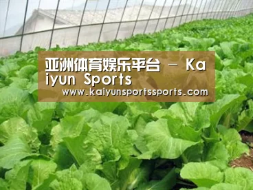 种植基地一