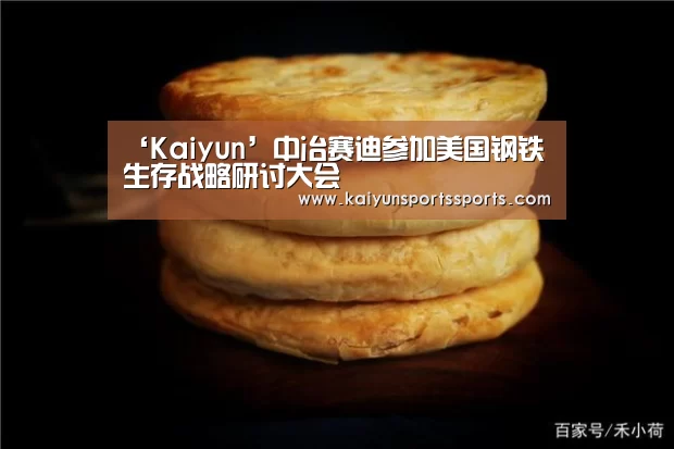 ‘Kaiyun’中冶赛迪参加美国钢铁生存战略研讨大会(图1) 开云平台