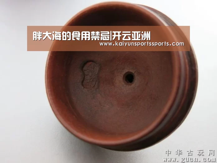 胖大海的食用禁忌|开云亚洲(图2) 开云亚洲