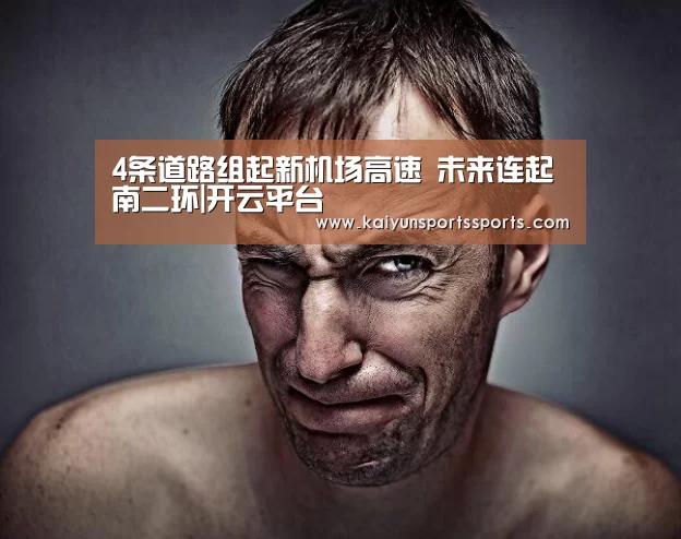 4条道路组起新机场高速 未来连起南二环|开云平台(图2) 4条道路组起新机场高速 未来连起南二环|开云平台(图2)