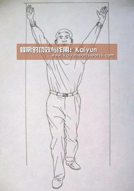 蜂房的功效与作用:Kaiyun(图2) 开云体育