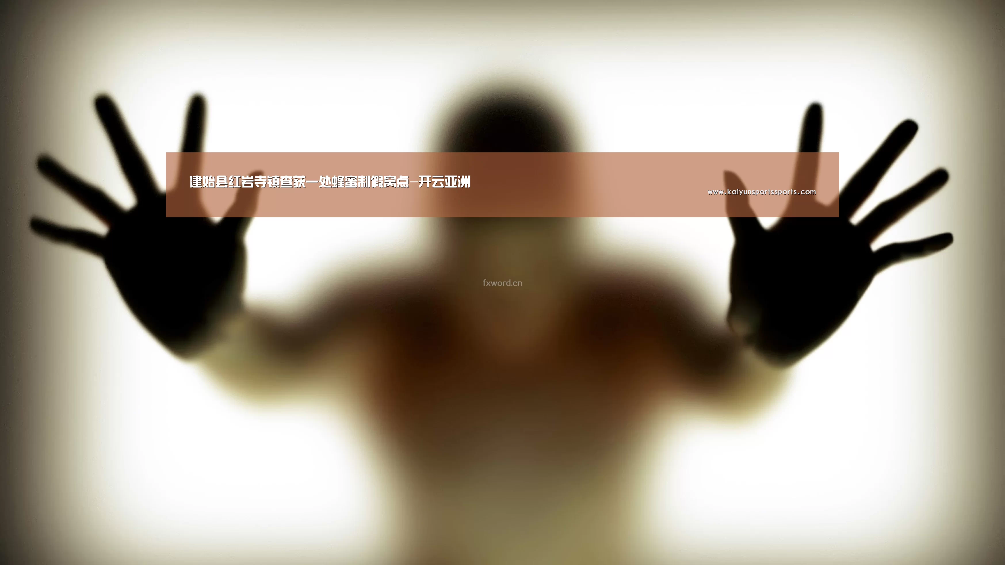 建始县红岩寺镇查获一处蜂蜜制假窝点-开云亚洲(图1) 开云亚洲